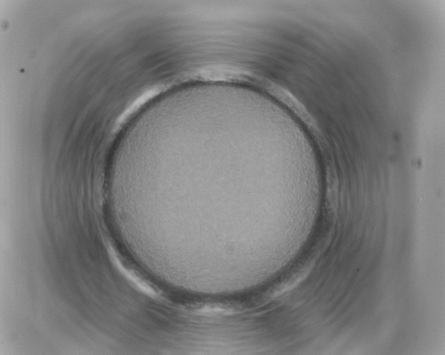 X0000087700530200706011747