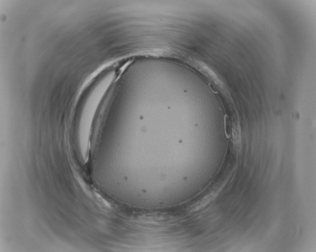 X0000087700532200706011747