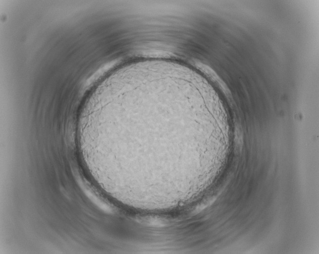 X0000087700533200706011747