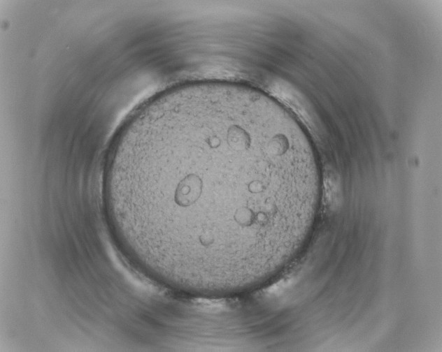 X0000087700534200706011747