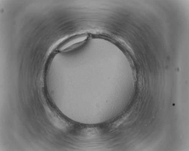 X0000087700536200706011747