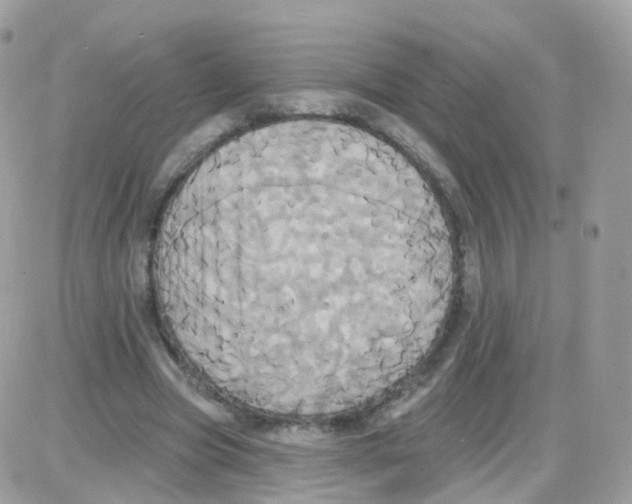 X0000087700537200706011747