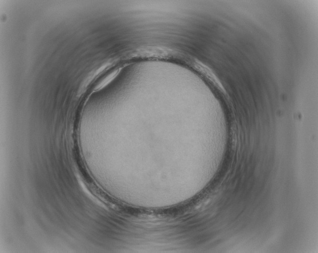 X0000087700538200706011747