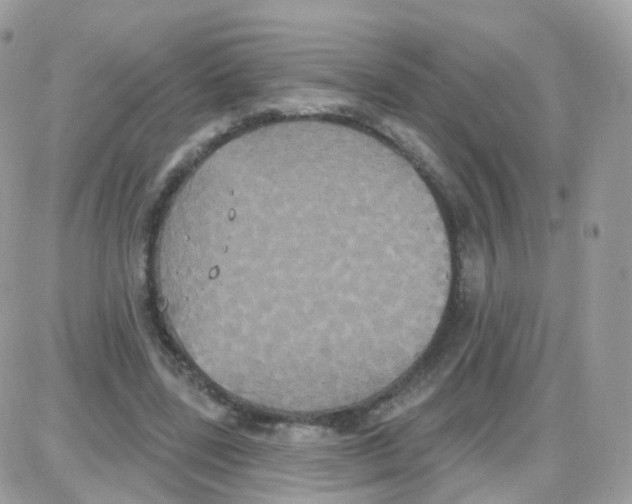 X0000087700539200706011747