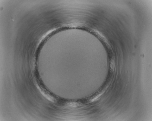 X0000087700540200706011747