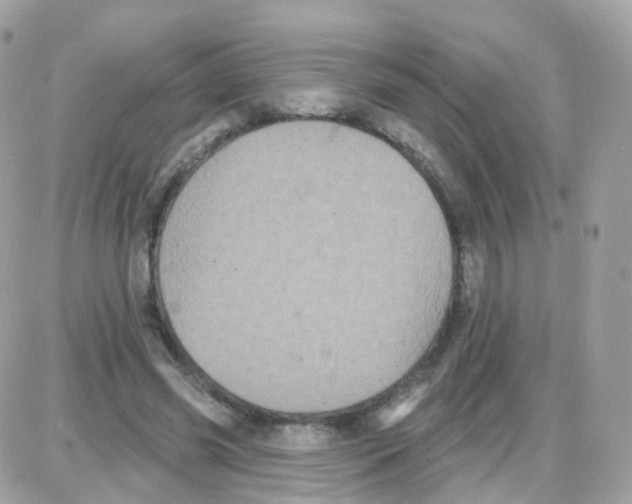 X0000087700541200706011747