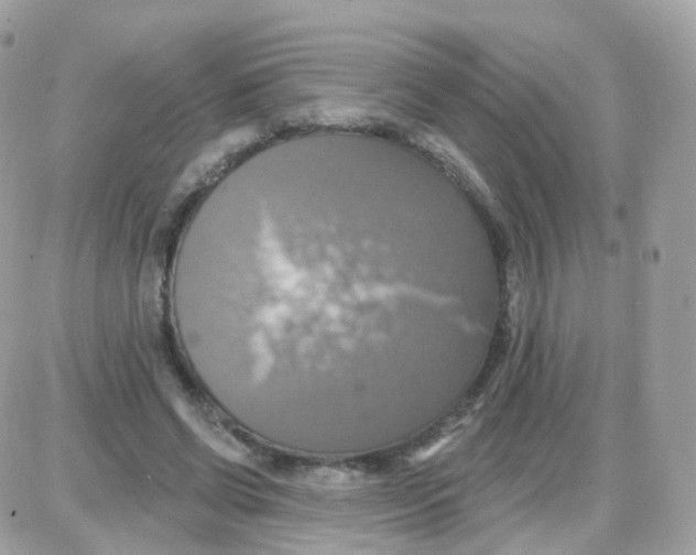 X0000087700542200706011747