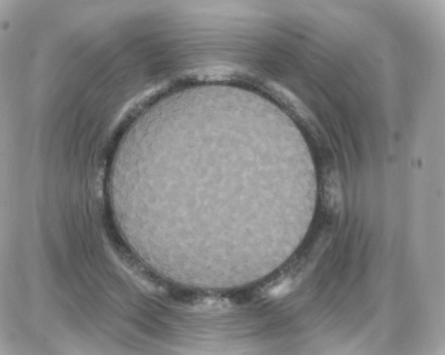 X0000087700543200706011747