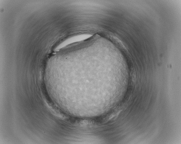 X0000087700546200706011747