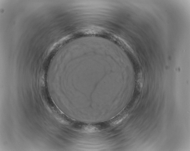 X0000087700547200706011747