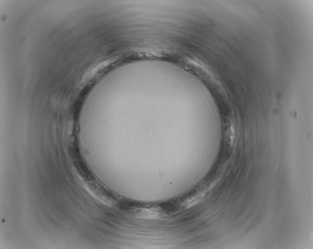 X0000087700548200706011747