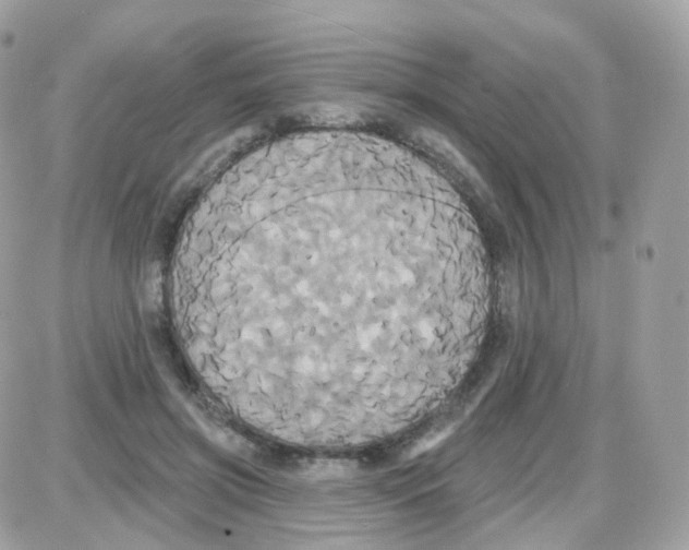 X0000087700549200706011747