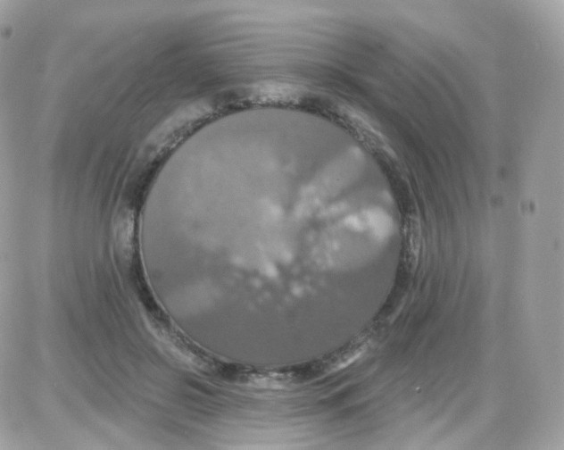 X0000087700550200706011747