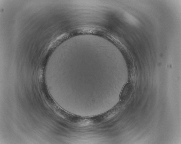 X0000087700551200706011747