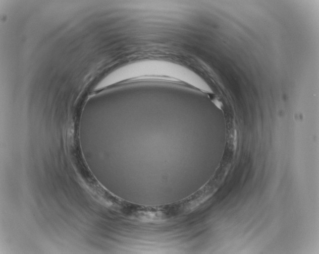 X0000087700552200706011747