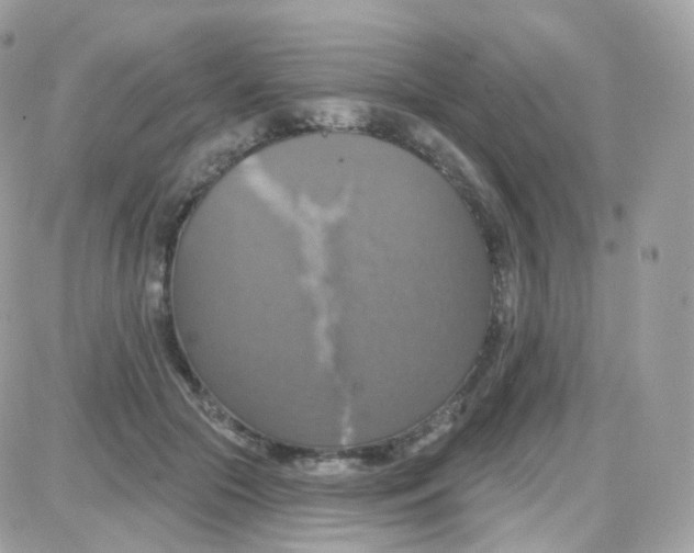 X0000087700553200706011747