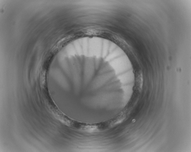 X0000087700554200706011747