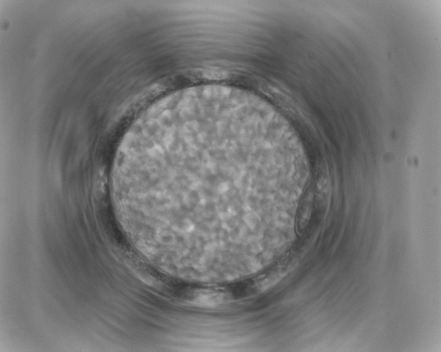 X0000087700555200706011747