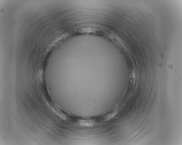 X0000087700556200706011747