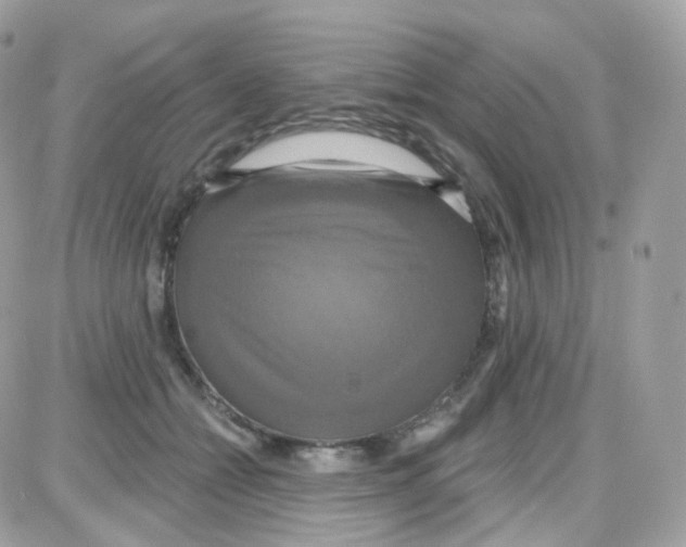 X0000087700558200706011747