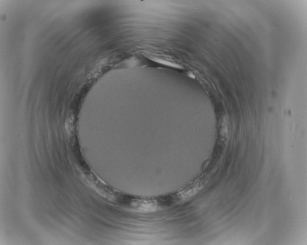 X0000087700559200706011747