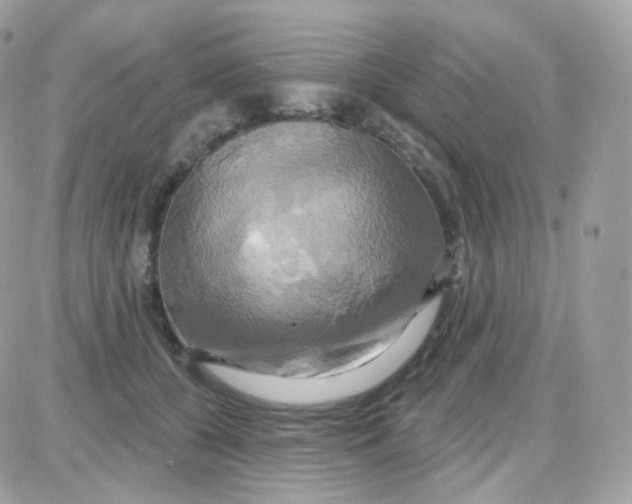 X0000087700560200706011747