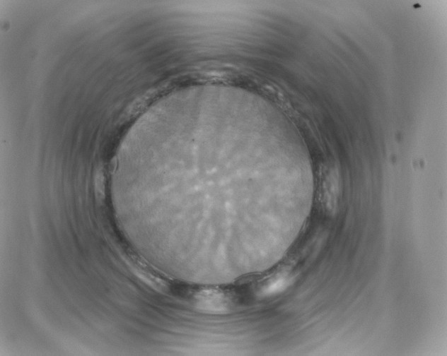 X0000087700562200706011747