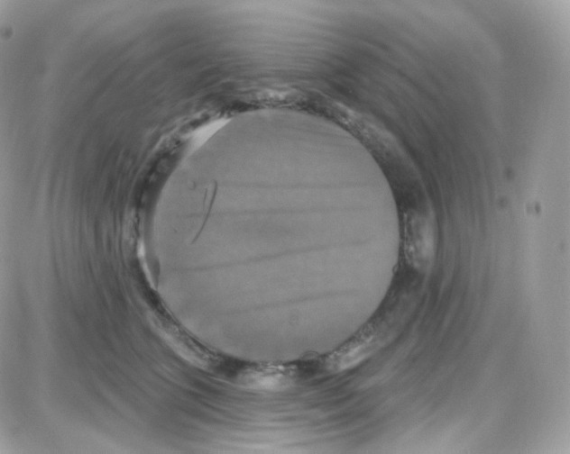 X0000087700563200706011747