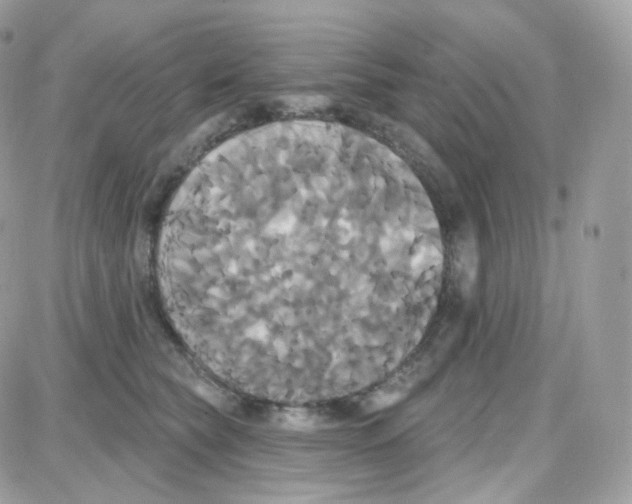 X0000087700565200706011747