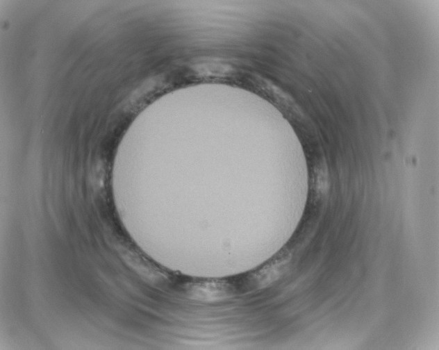 X0000087700567200706011748