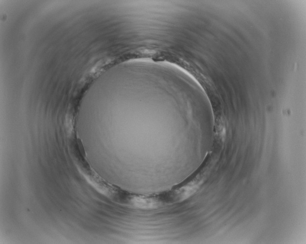 X0000087700568200706011748