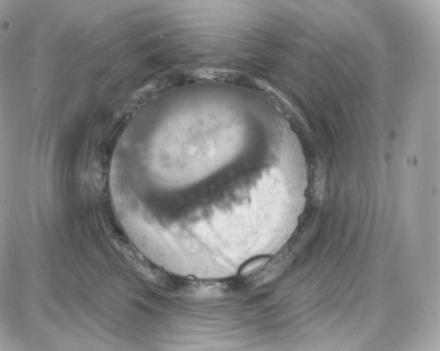 X0000087700569200706011748