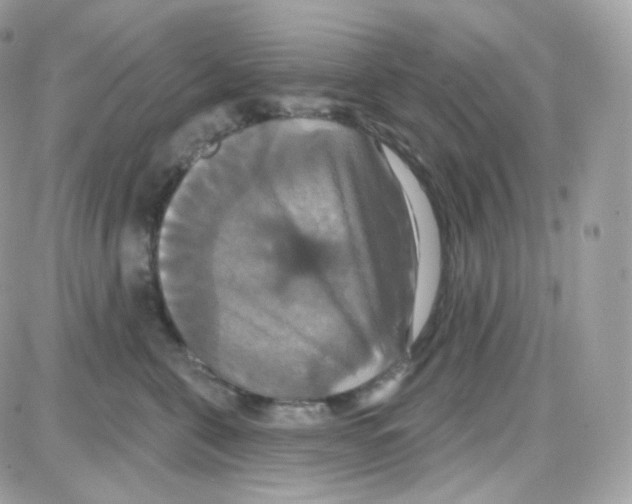 X0000087700571200706011748