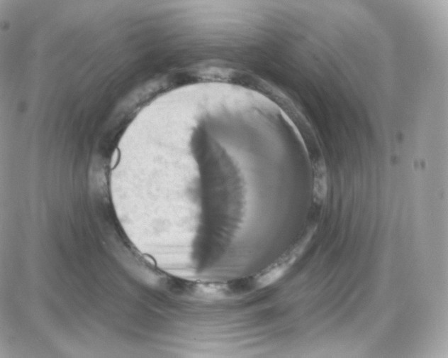 X0000087700573200706011748