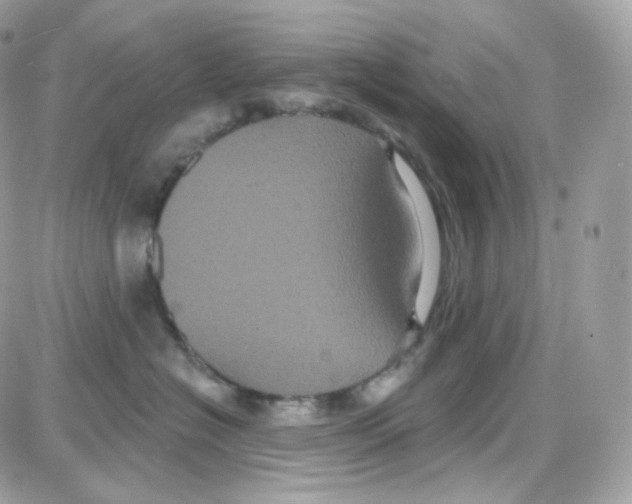 X0000087700574200706011748