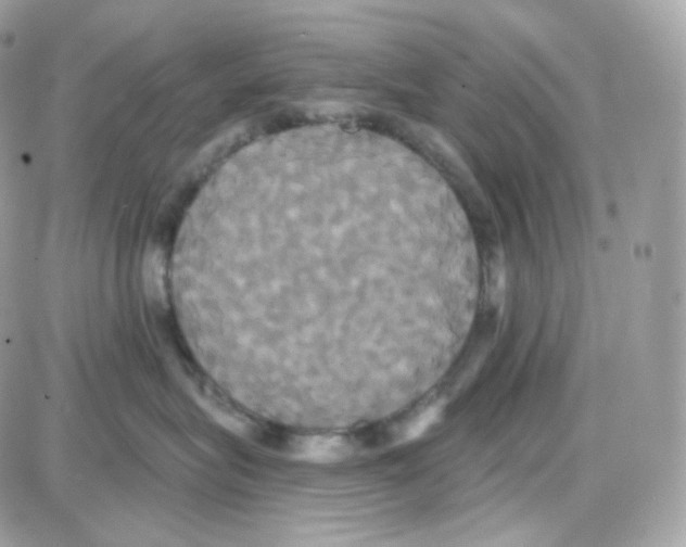 X0000087700575200706011748