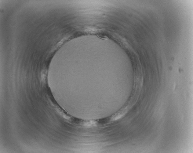 X0000087700576200706011748