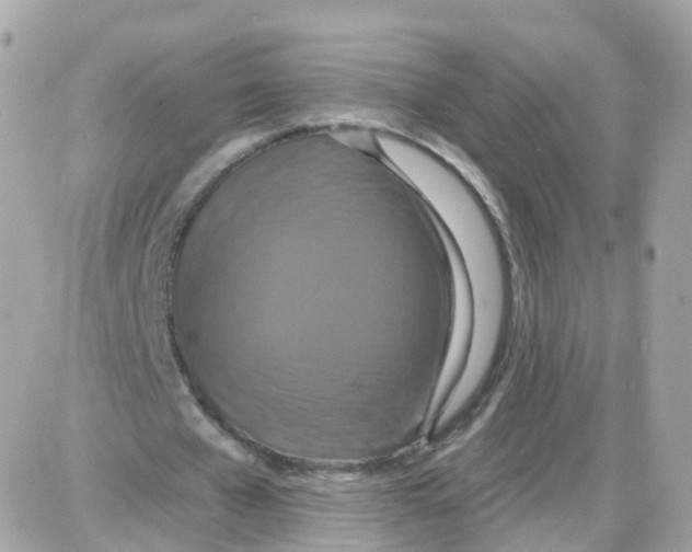 X0000087700577200706011747