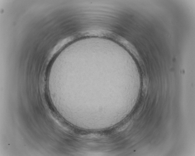 X0000087700578200706011747