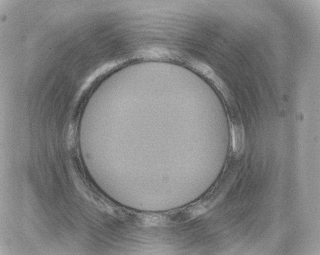 X0000087700579200706011747