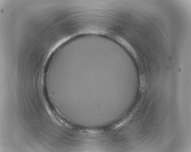 X0000087700580200706011747