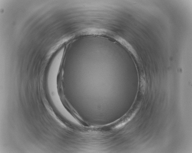 X0000087700581200706011747