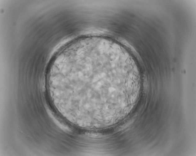 X0000087700582200706011747