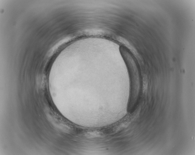 X0000087700583200706011747