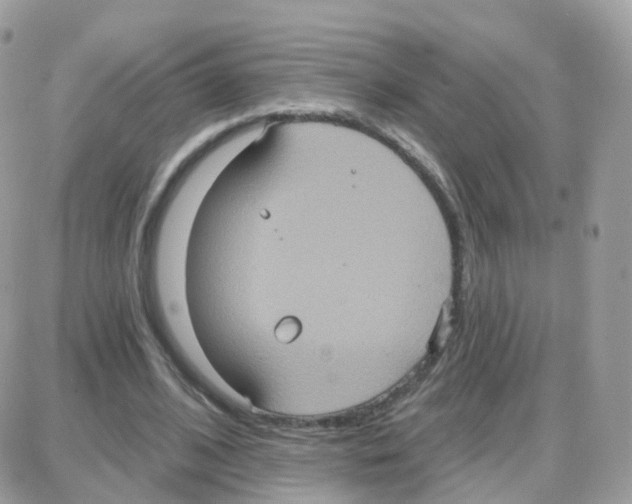 X0000087700584200706011747