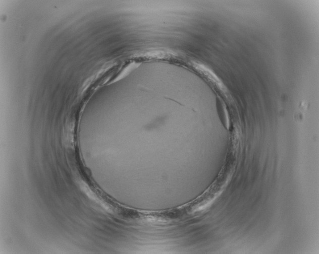 X0000087700585200706011747