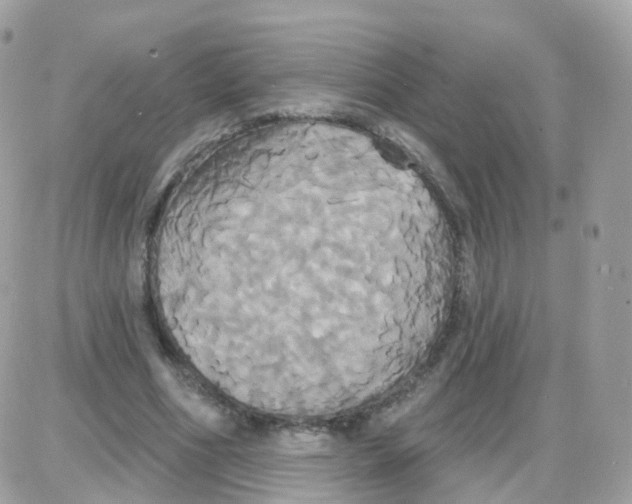 X0000087700586200706011747