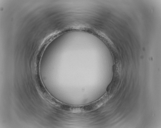 X0000087700587200706011747