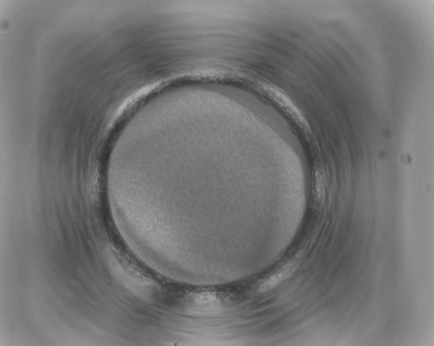 X0000087700588200706011747