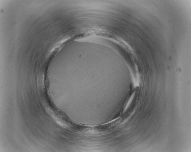 X0000087700589200706011747